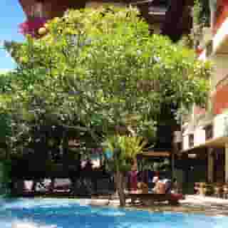 Green Garden Hotel, 4 of 5