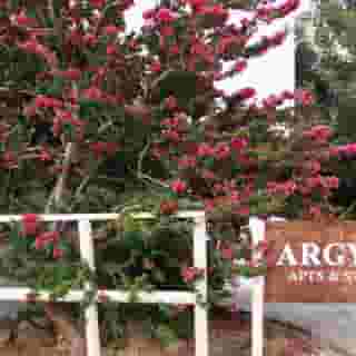 Argyro Studios and Apartments, 1 of 5