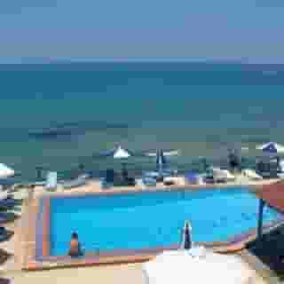 Cactus Mare -Adults Only, 3 of 5