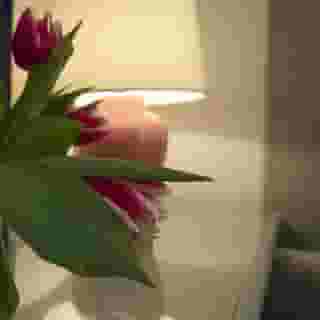 Club Hotel Venice, 2 of 5