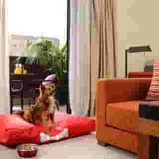 Milan Suite Hotel, 5 of 5