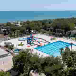 Club del Sole Stork Family Collection, 3 of 5