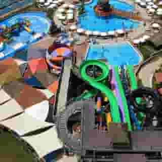 Papillon Belvil, 2 of 5