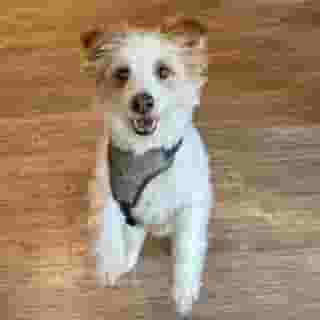 Holiday Inn - The Niu, Leo Nuremberg, 2 of 5