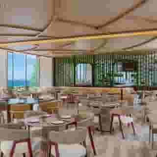 NALU Latchi Leonardo limited edition, 4 of 5