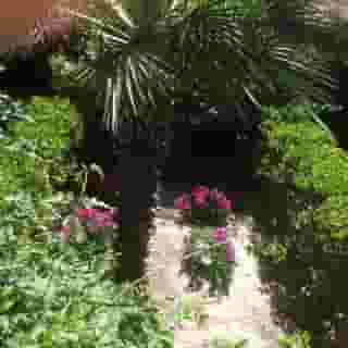 Elaia Hotel - Adults Only, 5 of 5