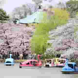 Centurion Hotel Ueno, 4 of 5