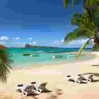 Coin de Mire Attitude, 2 of 5