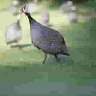 Woudschoten Hotel & Conferentiecentrum, 5 of 5