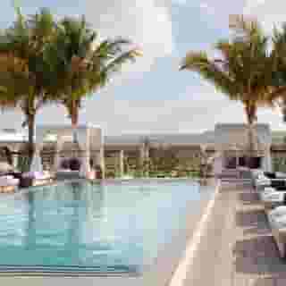 Kimpton Hotel Palomar South Beach, 3 of 5