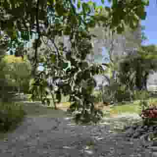 Aux Belles Vacances B B Only Adults, 3 of 5