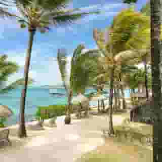 Tropical Attitude - Adults Only, 1 of 5