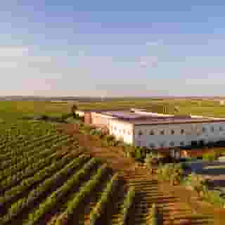 Vila Gale Alentejo Vineyards (Clube de Campo), 2 of 5