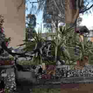 B&B Le Palme, 4 of 5