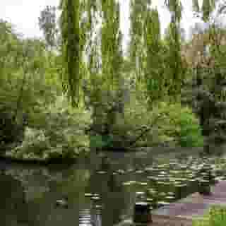 Element Amsterdam, 5 of 5