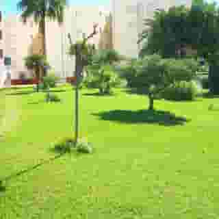 Don Chimo Danio, 5 of 5