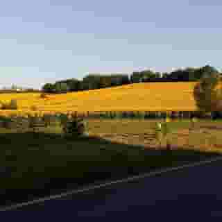 Hotel 1000 Miglia, 3 of 5