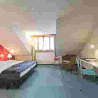 Flora Alpina, 5 of 5