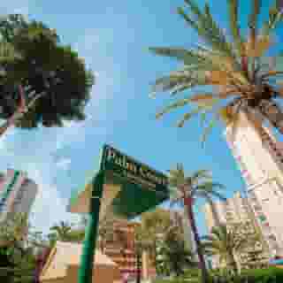 Palm Court Apartments, 6 of 6
