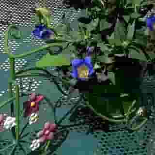 HOTEL FRANCE EIFFEL, 1 of 5