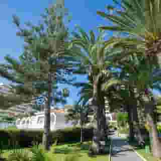 Globales Gardenia, 5 of 5