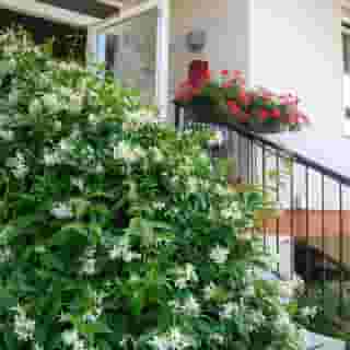 Taormina Hotel, 5 of 5