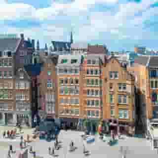 Swissotel Amsterdam, 3 of 5