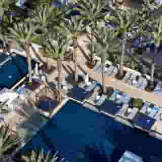 The Cove At Atlantis, 6 of 6