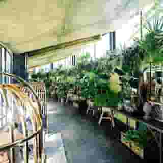 Apollo Hotel Amsterdam, a Tribute Portfolio Hotel, 4 of 5