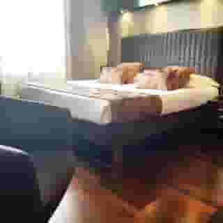 Axolute Comfort Hotel - Cantu, 3 of 5