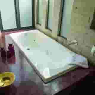 Pug Seal Anatole France, 4 of 5