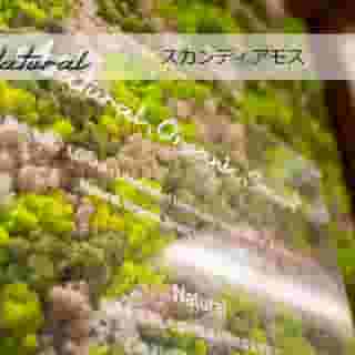 Super Hotel Tokyo Akabane eki Minamiguchi, 2 of 5