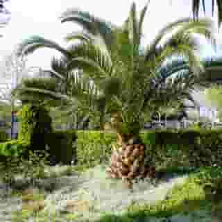 Turquhouse Boutique Hotel, 2 of 5