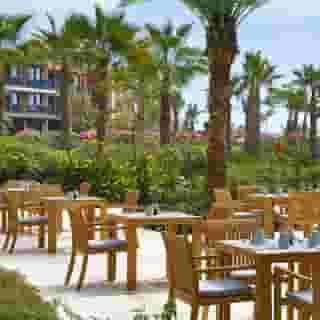 Hilton Cabo Verde Sal Resort, 5 of 5