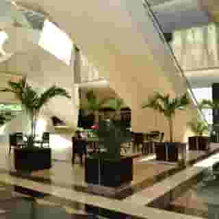 Royal Pedregal, 6 of 6