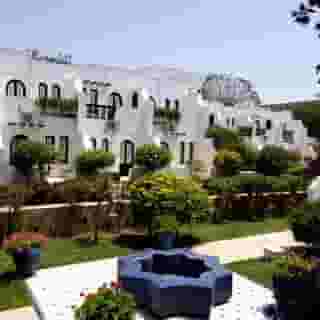 Les Omayados, 3 of 5