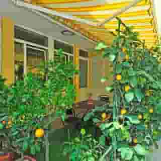 Bed Breakfast Ai Cipressi, 1 of 5