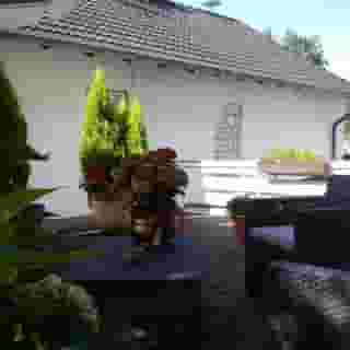 Hotel Burg Breuberg, 4 of 5