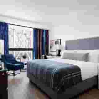 Graduate New York, 2 of 5