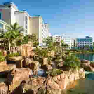 Loews Sapphire Falls Resort, 2 of 5