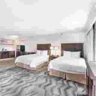 Hampton Inn & Suites Atlanta-Galleria, 5 of 5