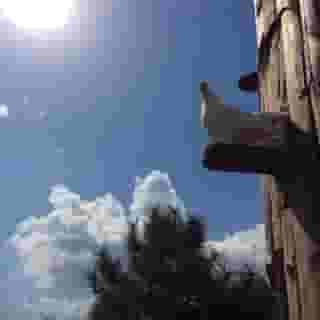 Polonezkoy Country Club, 1 of 5