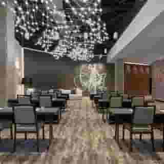 Hotel Zena Washington DC, 3 of 5