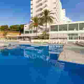 Globales Mimosa, 1 of 5