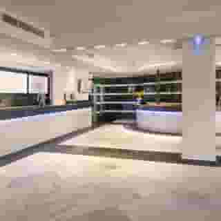 Sol Milanos-Pinguinos, 4 of 5