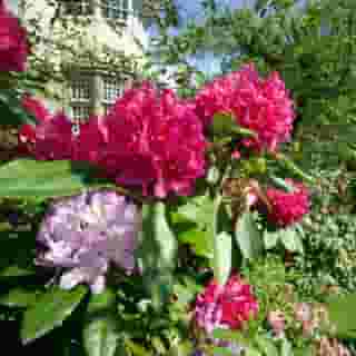 Dalmeny Park Country House Hotel Gardens, 6 of 6