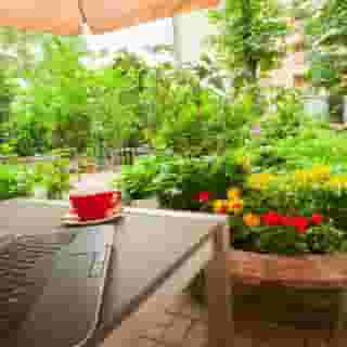 mD-Hotel Brandies, 4 of 5