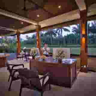 Nandini Jungle by Hanging Gardens, 3 of 5