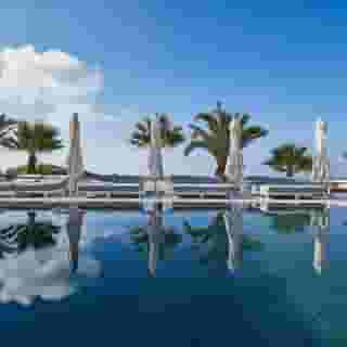 Petri Suites, 5 of 5