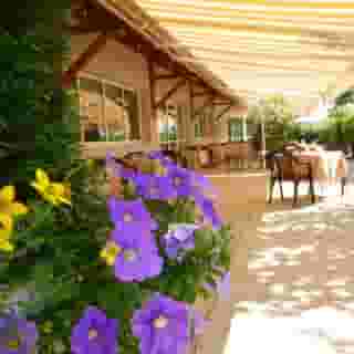 Logis Hotel le Chatard, 6 of 6